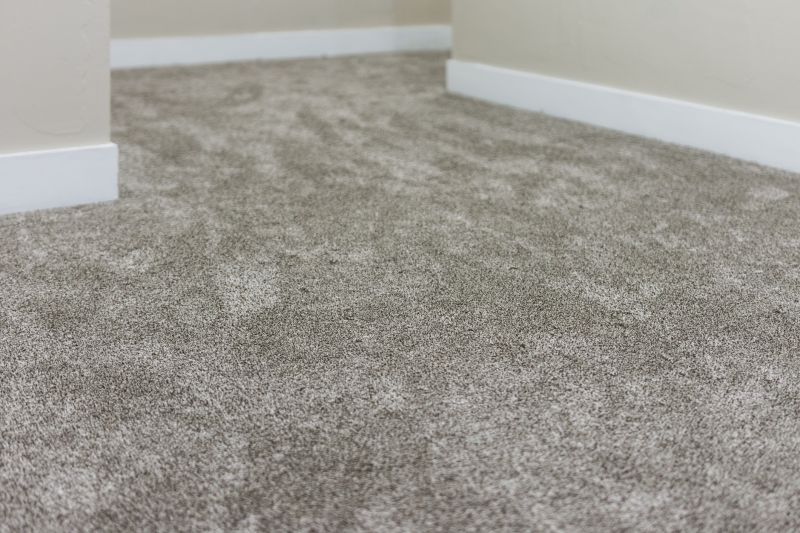 Finished Carpet with Bright Appearance