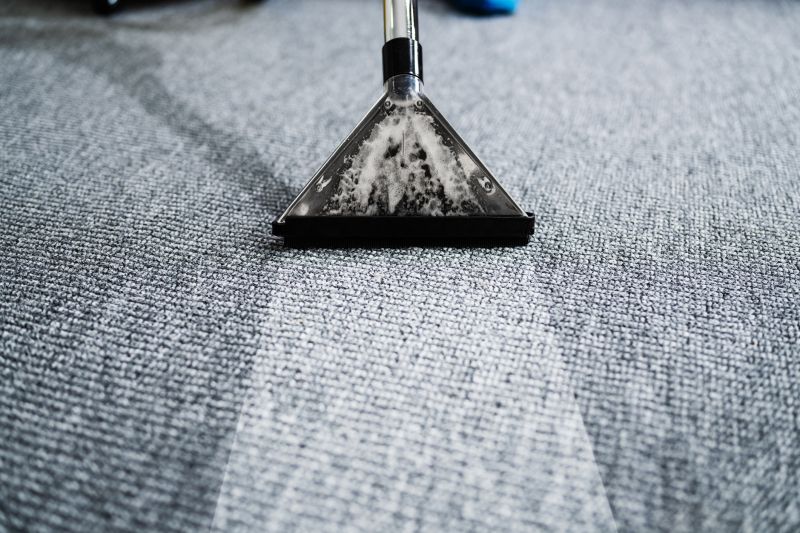 Professional Carpet Cleaning