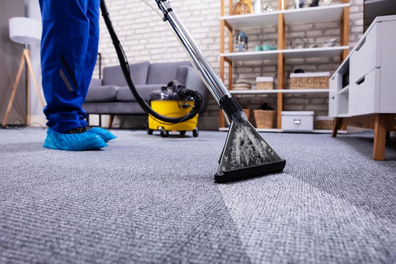 Professional Carpet Cleaners
