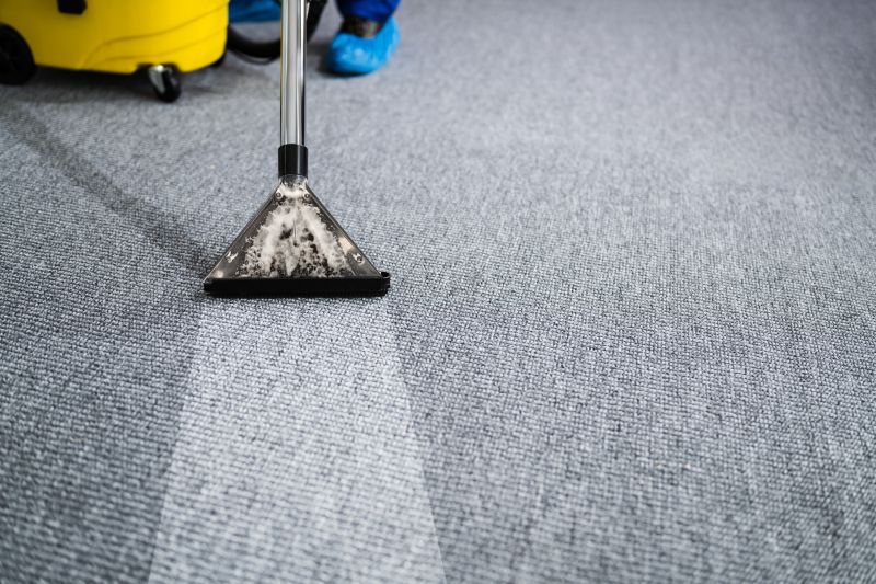 Residential Carpet Cleaning Experts