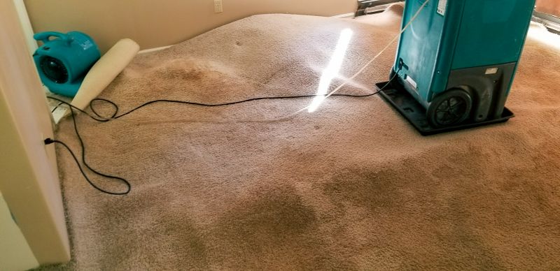 Specialty Carpet Restoration Services