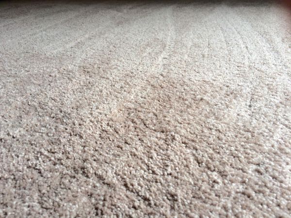 Plush Carpet Installation in Jupiter